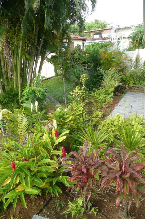 Douceurs Caraïbes, Coco. *