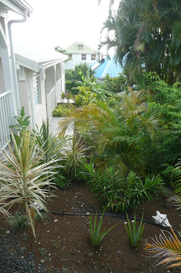 Douceurs Caraïbes, Coco.