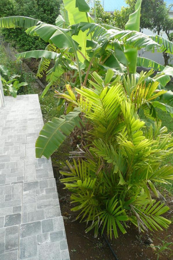 Douceurs Caraïbes, Coco. Appartement *